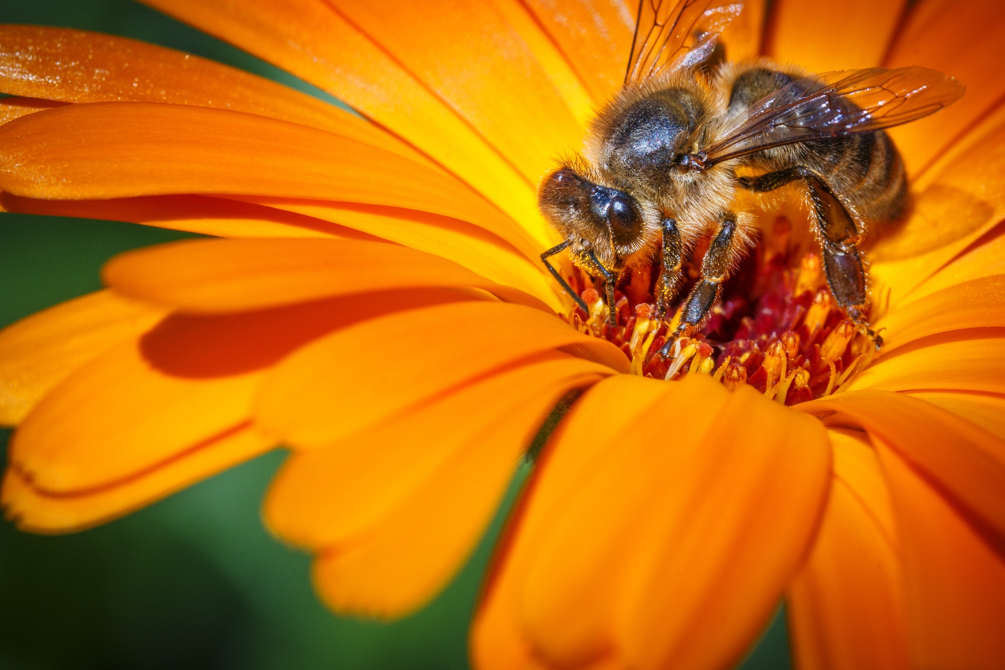RAW Format Teil 2 2 Foto365 at